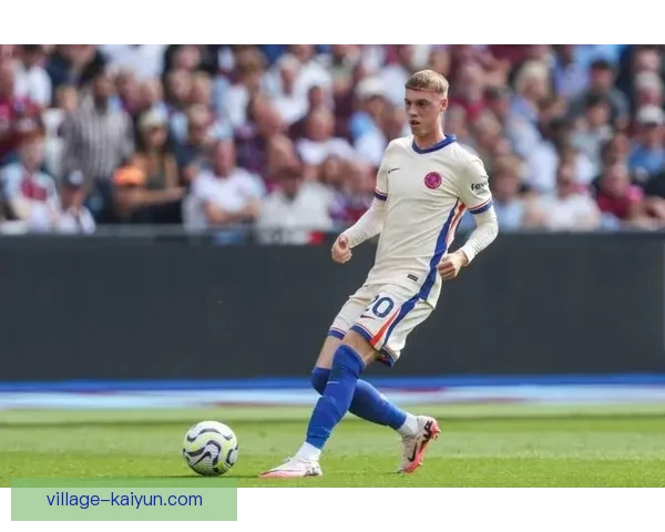 帕尔默表现稳健，技术风格独具特色，近期状态备受关注