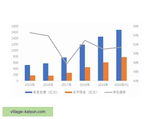 加维19岁职业展望：竞争力增强，未来发展备受关注