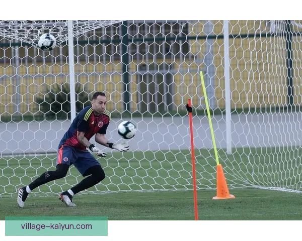 哥伦比亚队球员潜力持续提升，未来发展备受关注